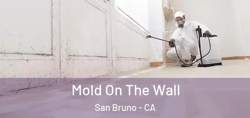  Mold On The Wall San Bruno - CA