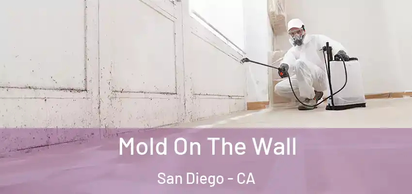  Mold On The Wall San Diego - CA