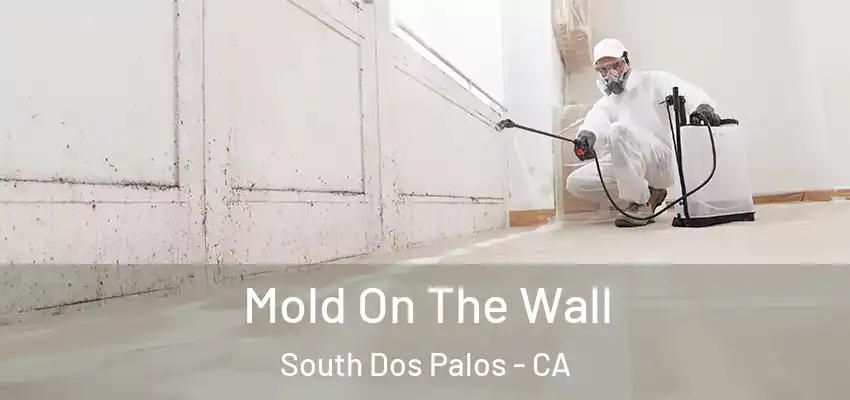  Mold On The Wall South Dos Palos - CA