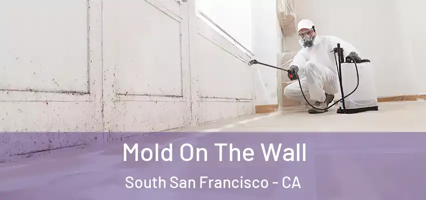  Mold On The Wall South San Francisco - CA