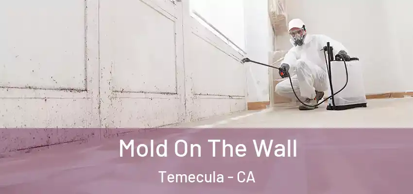  Mold On The Wall Temecula - CA