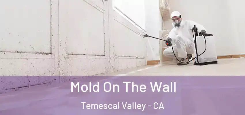  Mold On The Wall Temescal Valley - CA