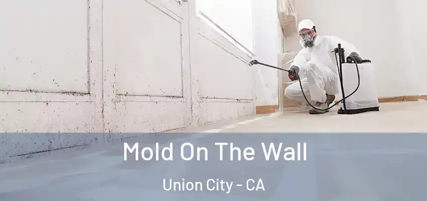 Mold On The Wall Union City - CA