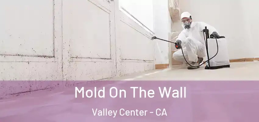 Mold On The Wall Valley Center - CA