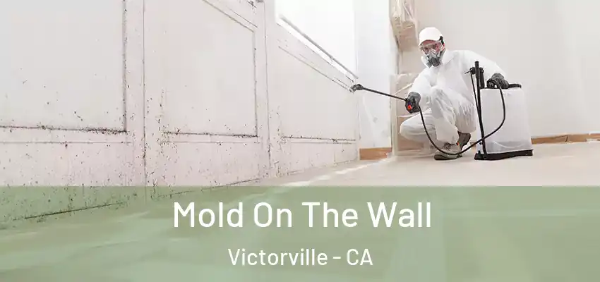  Mold On The Wall Victorville - CA
