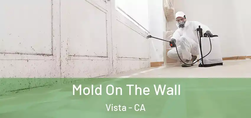  Mold On The Wall Vista - CA