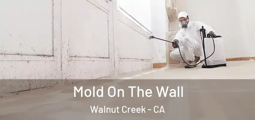  Mold On The Wall Walnut Creek - CA