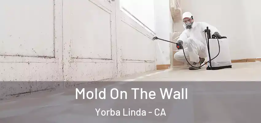  Mold On The Wall Yorba Linda - CA