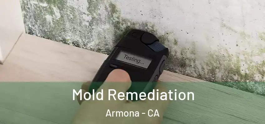  Mold Remediation Armona - CA