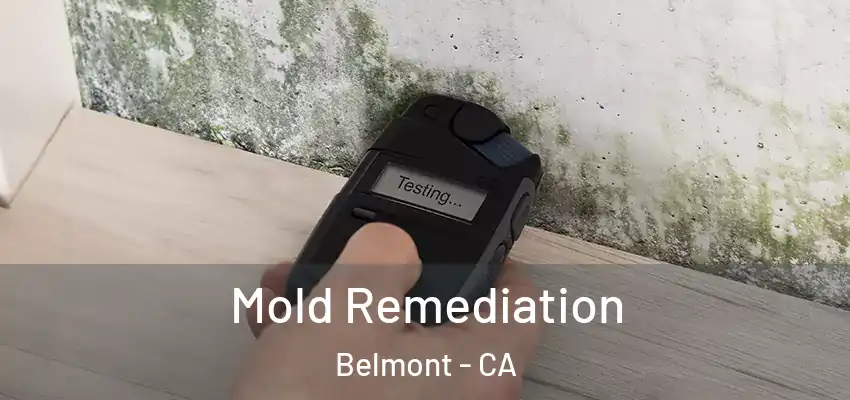  Mold Remediation Belmont - CA
