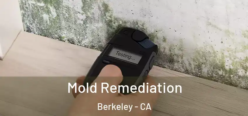  Mold Remediation Berkeley - CA