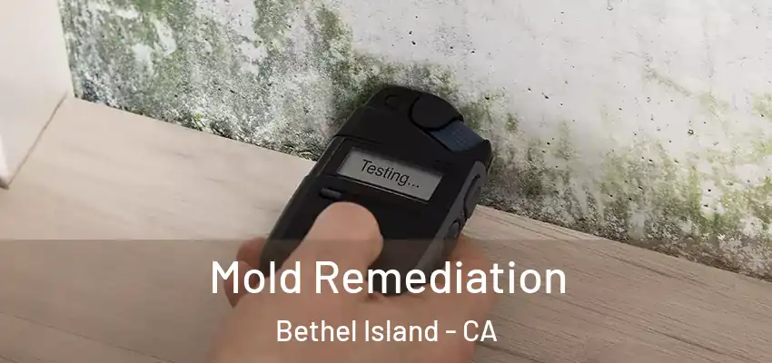 Mold Remediation Bethel Island - CA