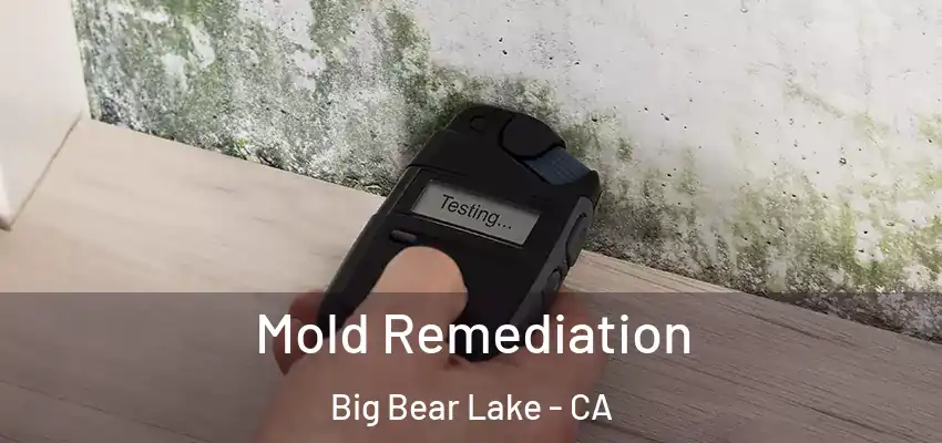  Mold Remediation Big Bear Lake - CA
