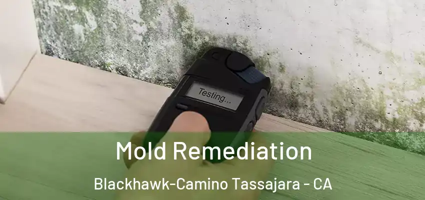  Mold Remediation Blackhawk-Camino Tassajara - CA