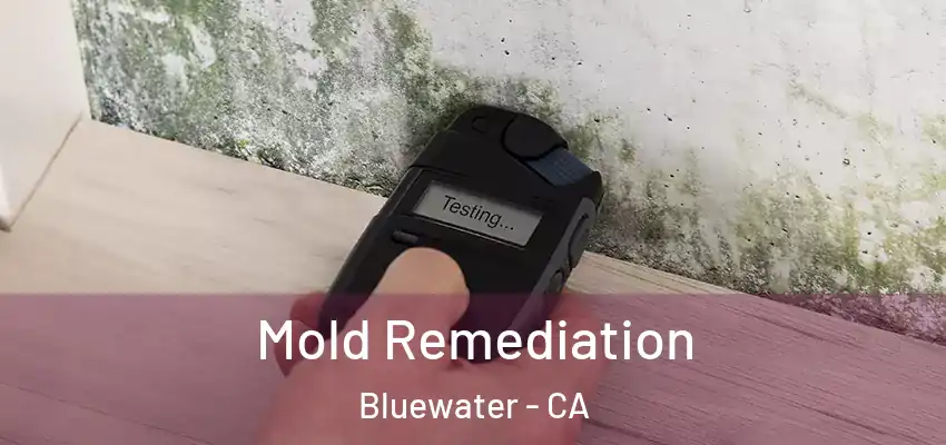  Mold Remediation Bluewater - CA