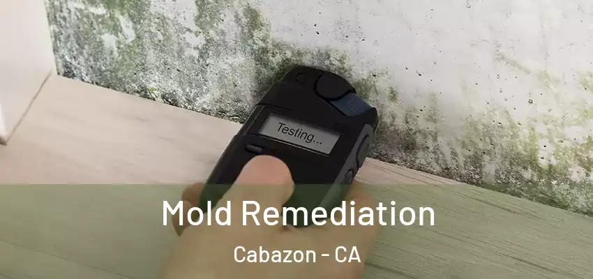 Mold Remediation Cabazon - CA