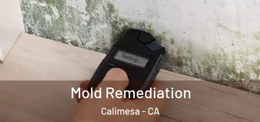  Mold Remediation Calimesa - CA
