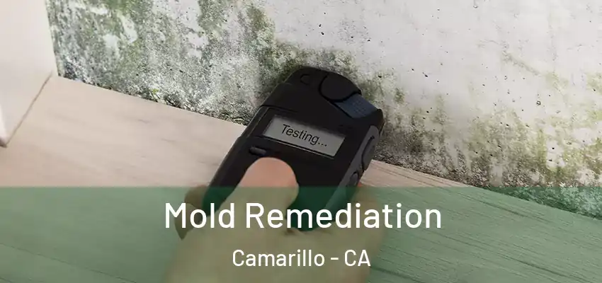  Mold Remediation Camarillo - CA