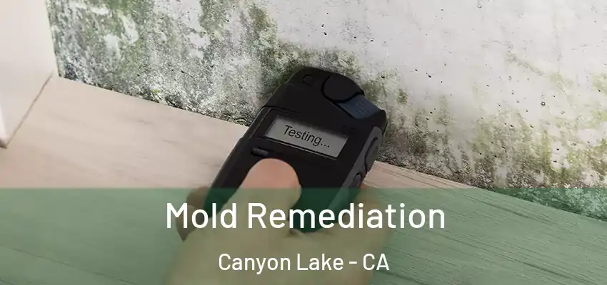  Mold Remediation Canyon Lake - CA