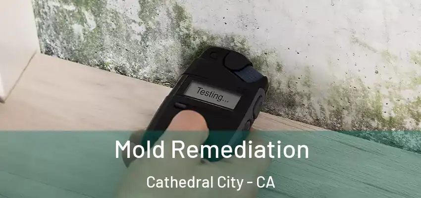  Mold Remediation Cathedral City - CA