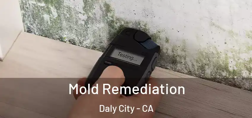  Mold Remediation Daly City - CA
