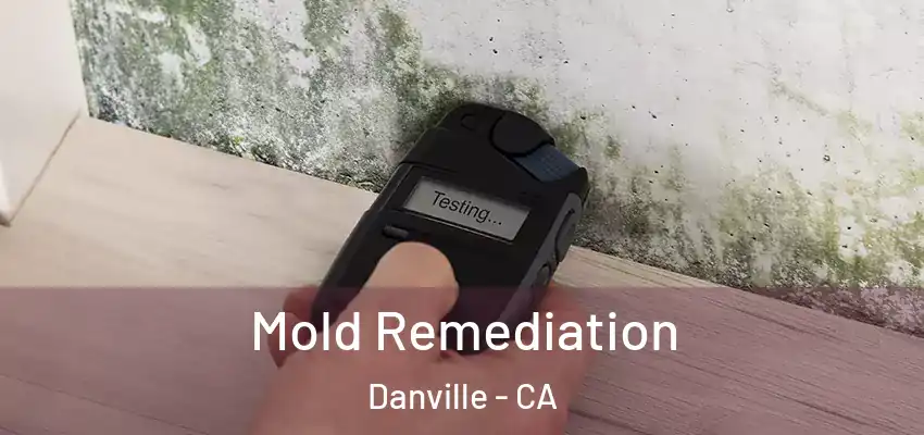  Mold Remediation Danville - CA