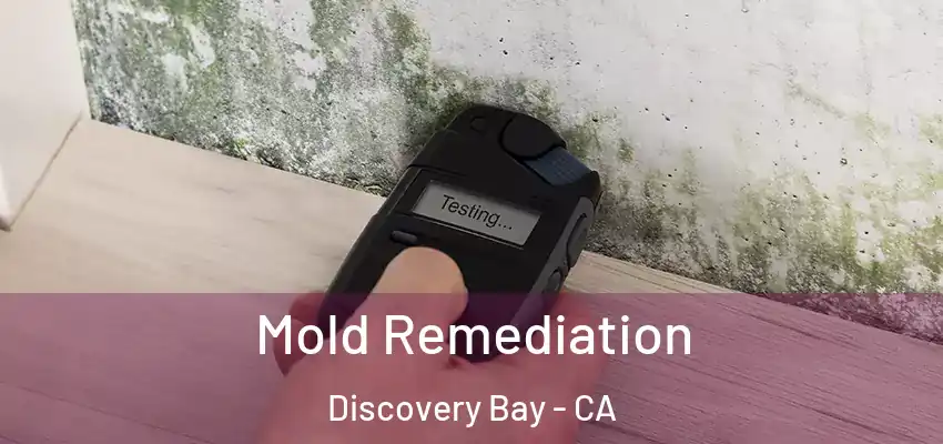  Mold Remediation Discovery Bay - CA