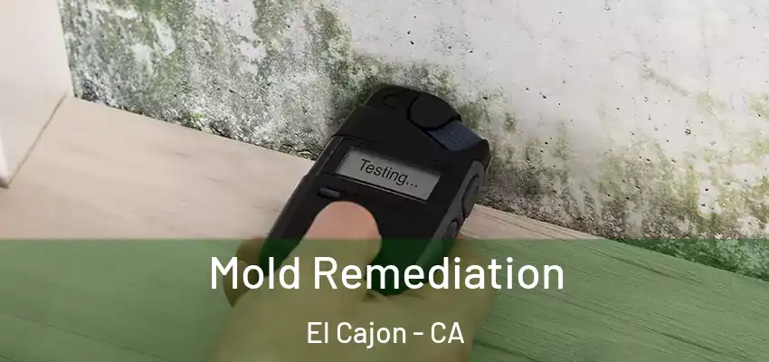  Mold Remediation El Cajon - CA