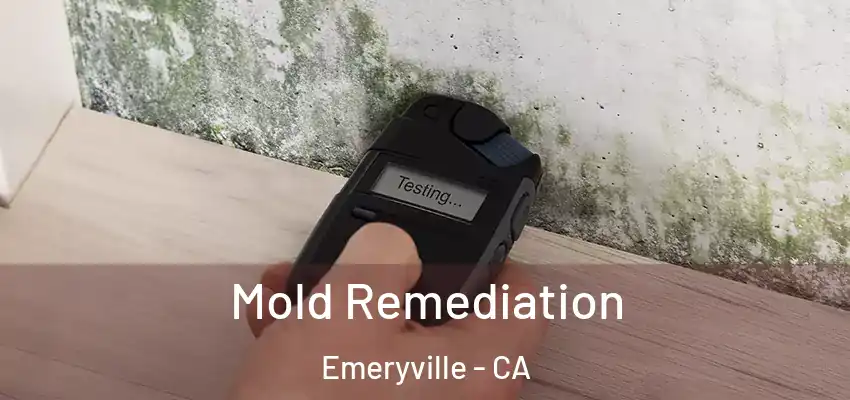  Mold Remediation Emeryville - CA