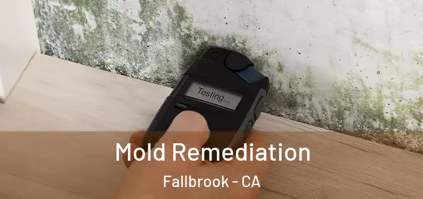  Mold Remediation Fallbrook - CA