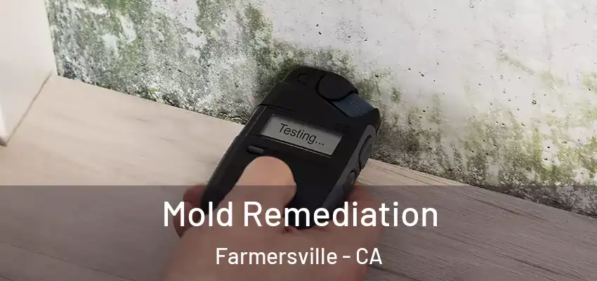  Mold Remediation Farmersville - CA