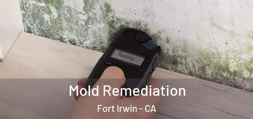  Mold Remediation Fort Irwin - CA