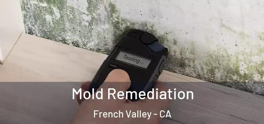  Mold Remediation French Valley - CA