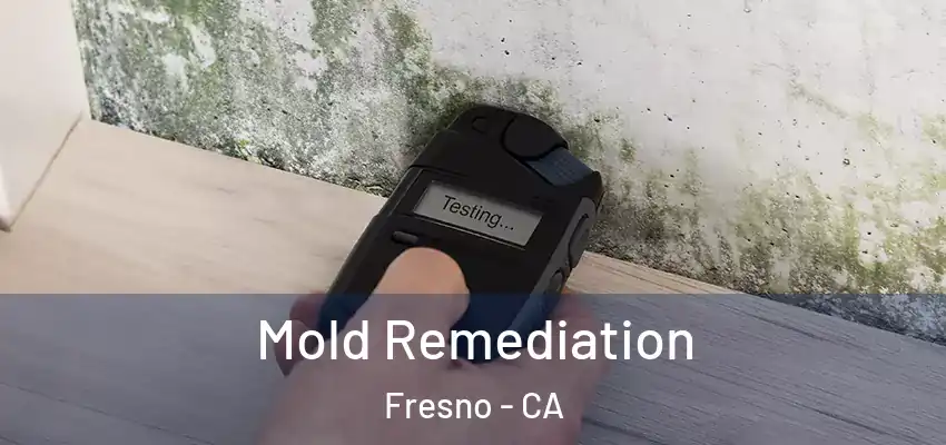  Mold Remediation Fresno - CA