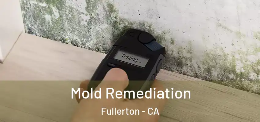  Mold Remediation Fullerton - CA