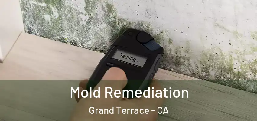  Mold Remediation Grand Terrace - CA