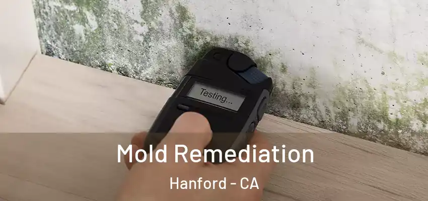  Mold Remediation Hanford - CA