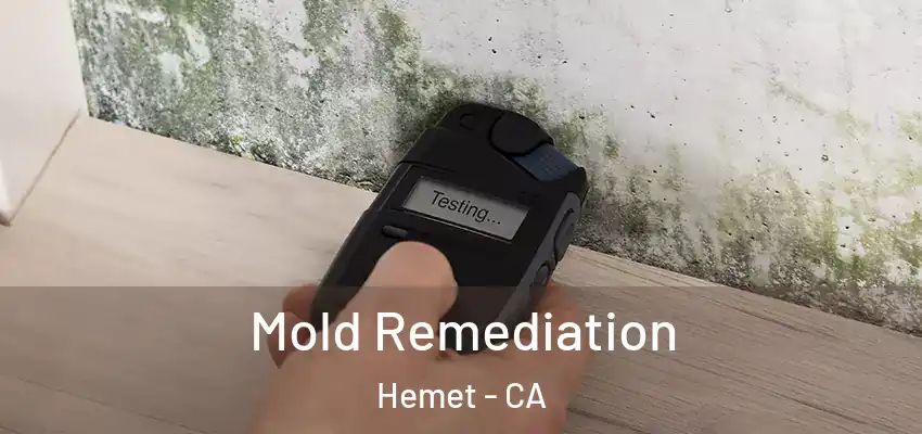  Mold Remediation Hemet - CA