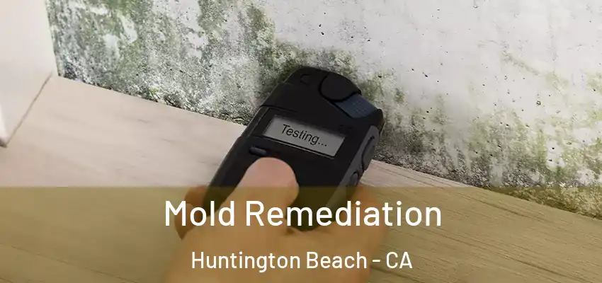  Mold Remediation Huntington Beach - CA