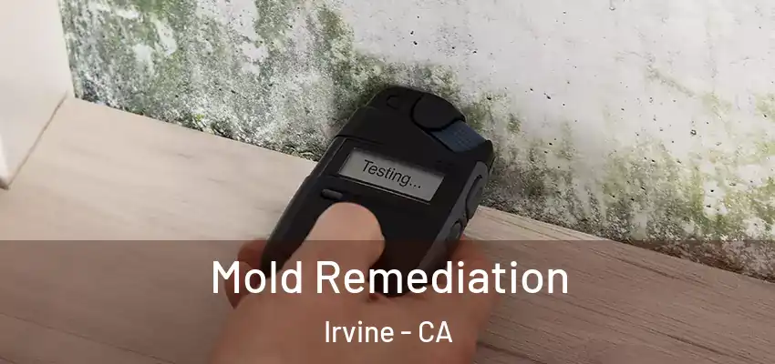  Mold Remediation Irvine - CA