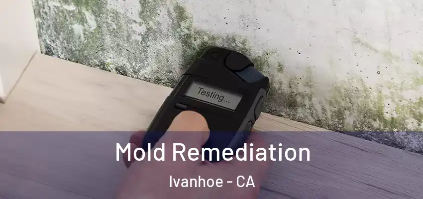  Mold Remediation Ivanhoe - CA