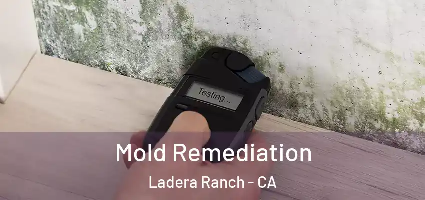  Mold Remediation Ladera Ranch - CA