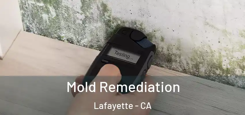  Mold Remediation Lafayette - CA