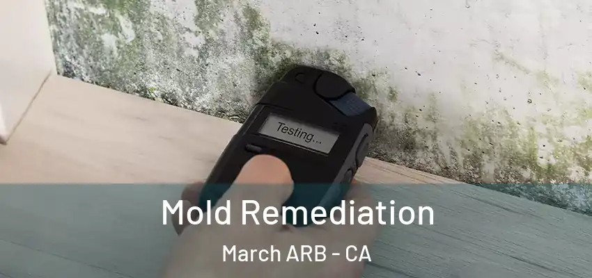  Mold Remediation March ARB - CA