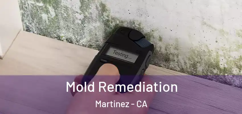  Mold Remediation Martinez - CA