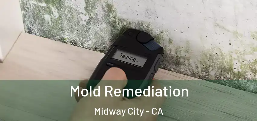  Mold Remediation Midway City - CA