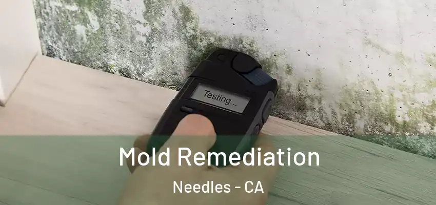  Mold Remediation Needles - CA