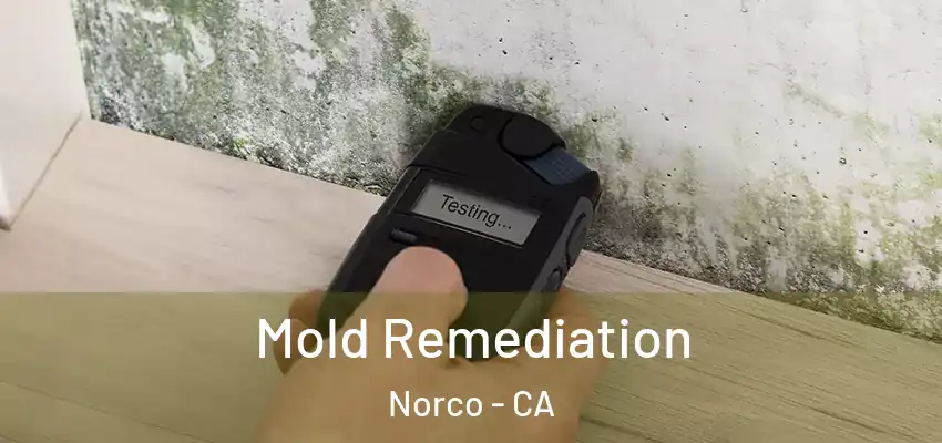  Mold Remediation Norco - CA