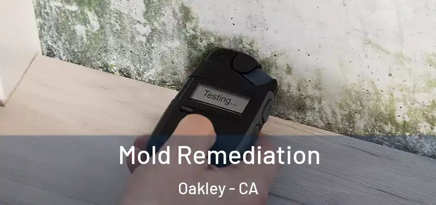 Mold Remediation Oakley - CA