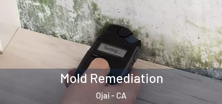  Mold Remediation Ojai - CA